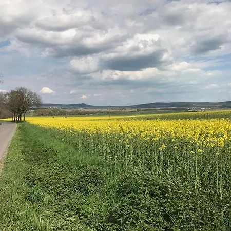 Káli Kerted Lidi Néni Háza Casa de Férias *