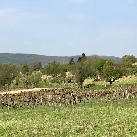 Káli Kerted Lidi Néni Háza Monoszlo